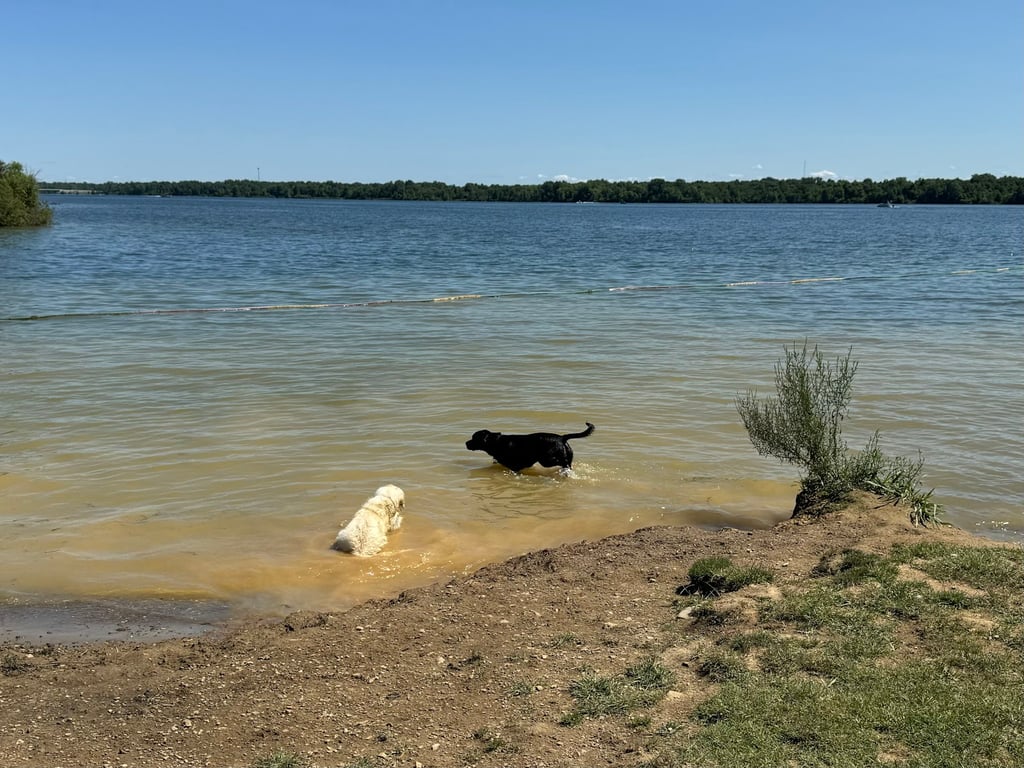 Friends of Alum Creek Dog Park