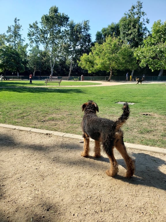 Claremont Pooch Dog Park