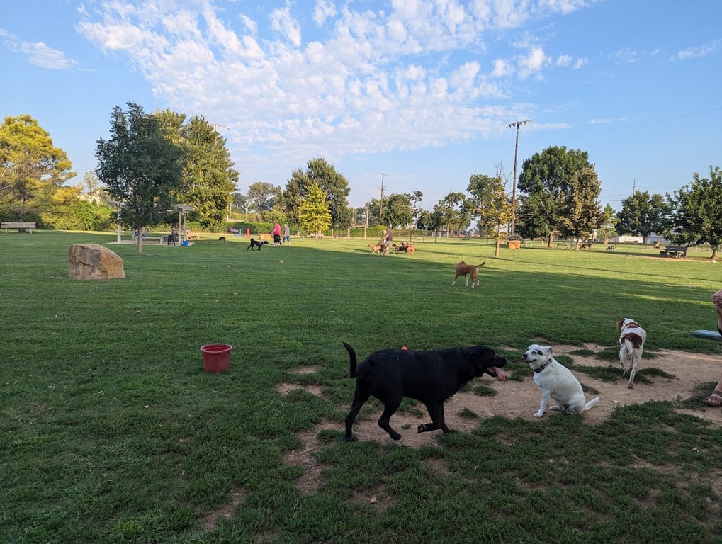 Joe Station Dog Park