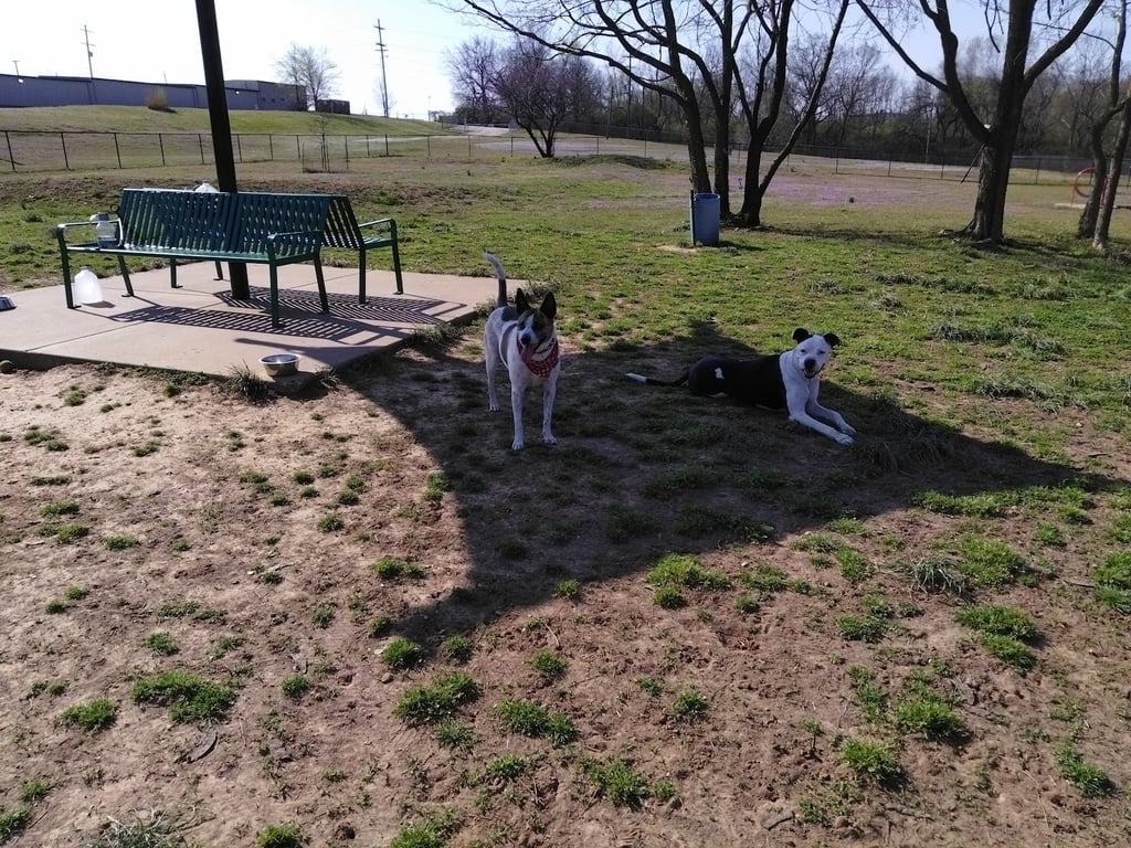 Cruse (Members Only) Dog Park Parking & Trailhead