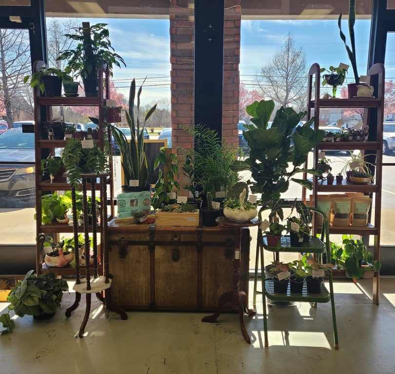 Honey Bee Vintage, Home, & Gifts