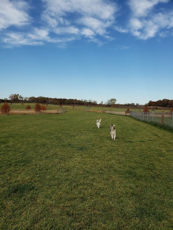 Waukegan Savanna Off-Leash Dog Area