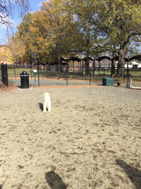 Lansburgh Dog Park