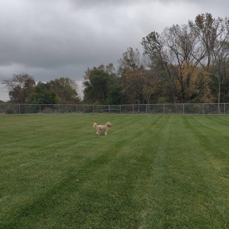 Winterset Dog Park