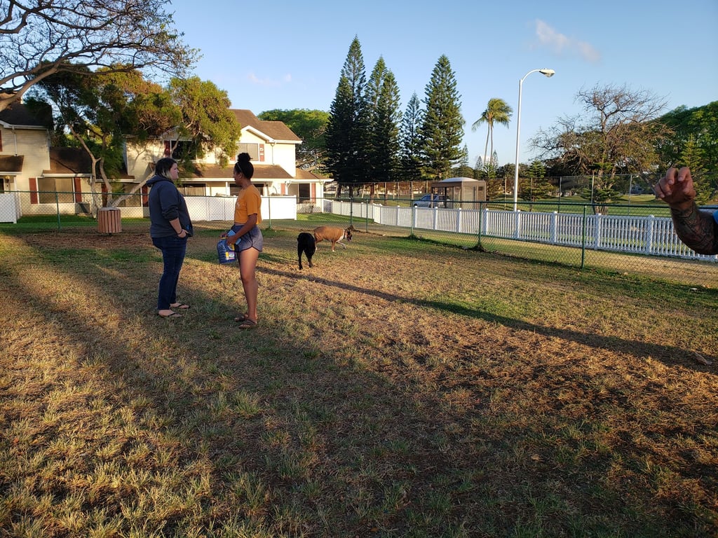 Forest City Dog Park