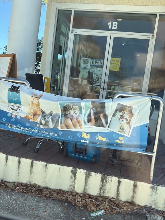 Kitten Angel Thrift Store