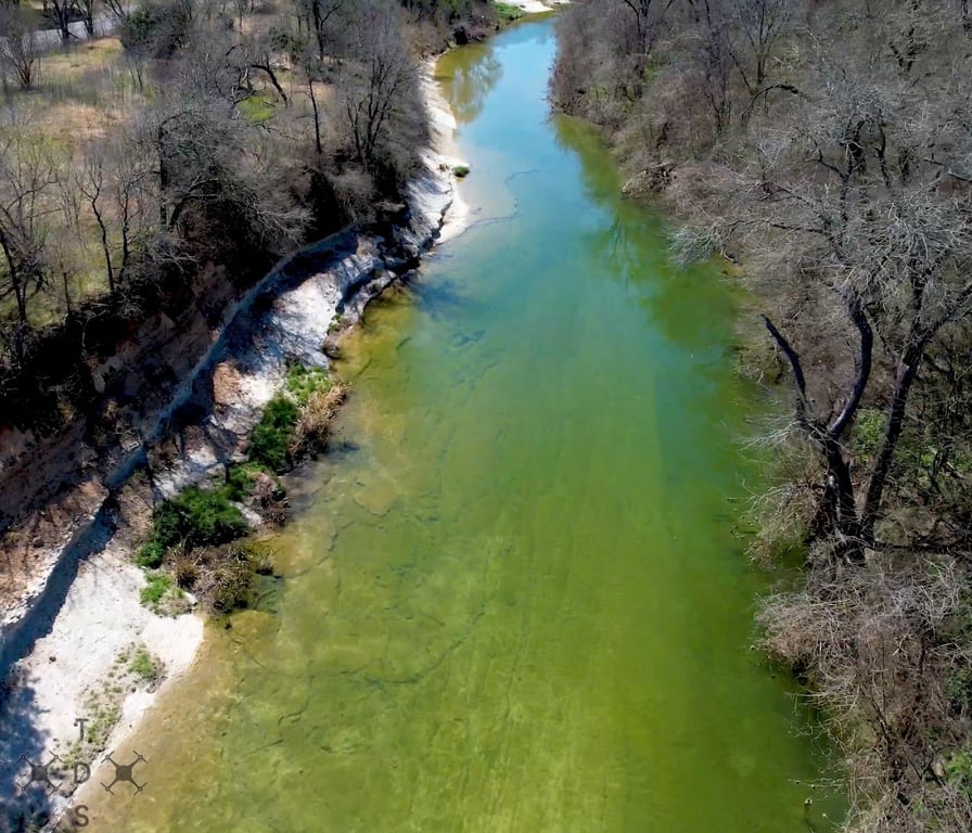 Onion Creek Doggy Park