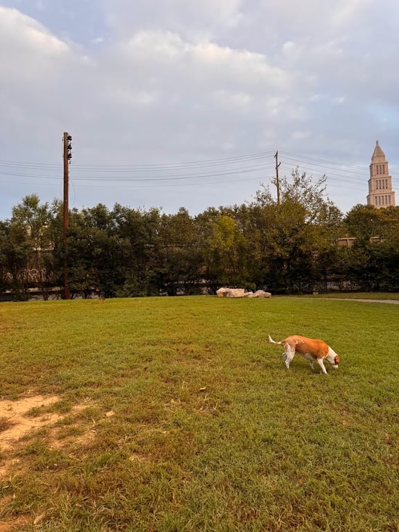 Dog Run Park at Carlyle