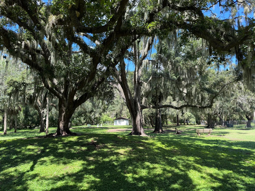 Lakeview Park