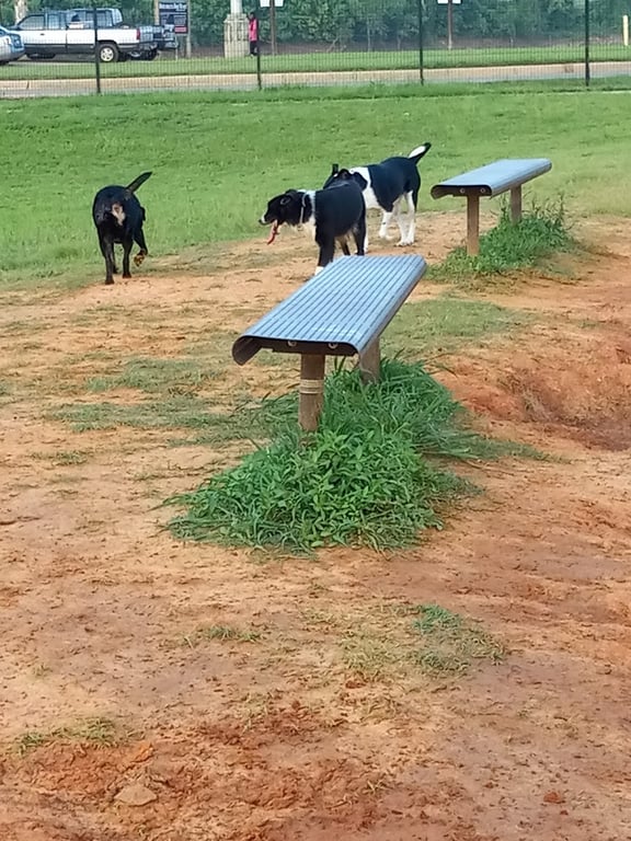 Shreveport Dog Park