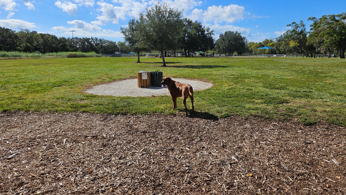 17th Street Paw Park