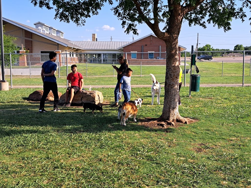 Central Bark Dog Park
