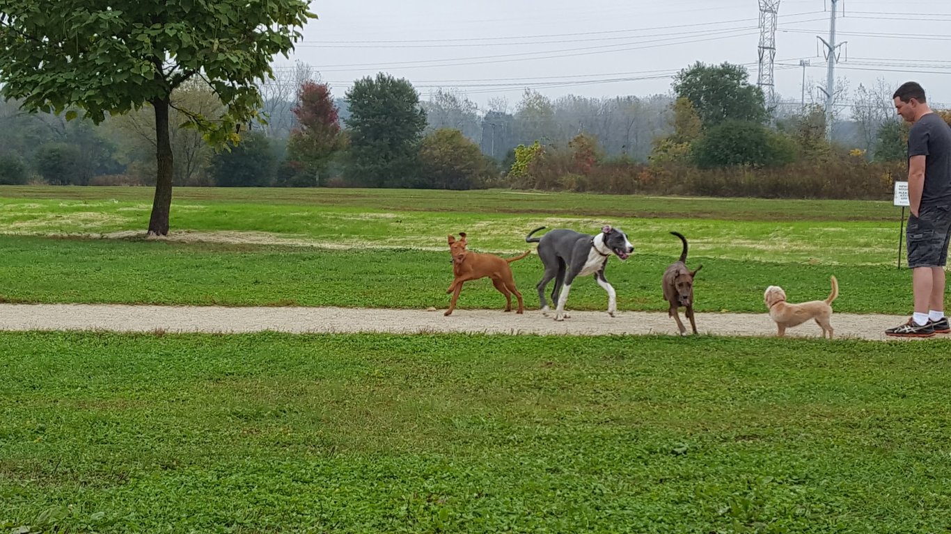 Greene Valley Dog Park