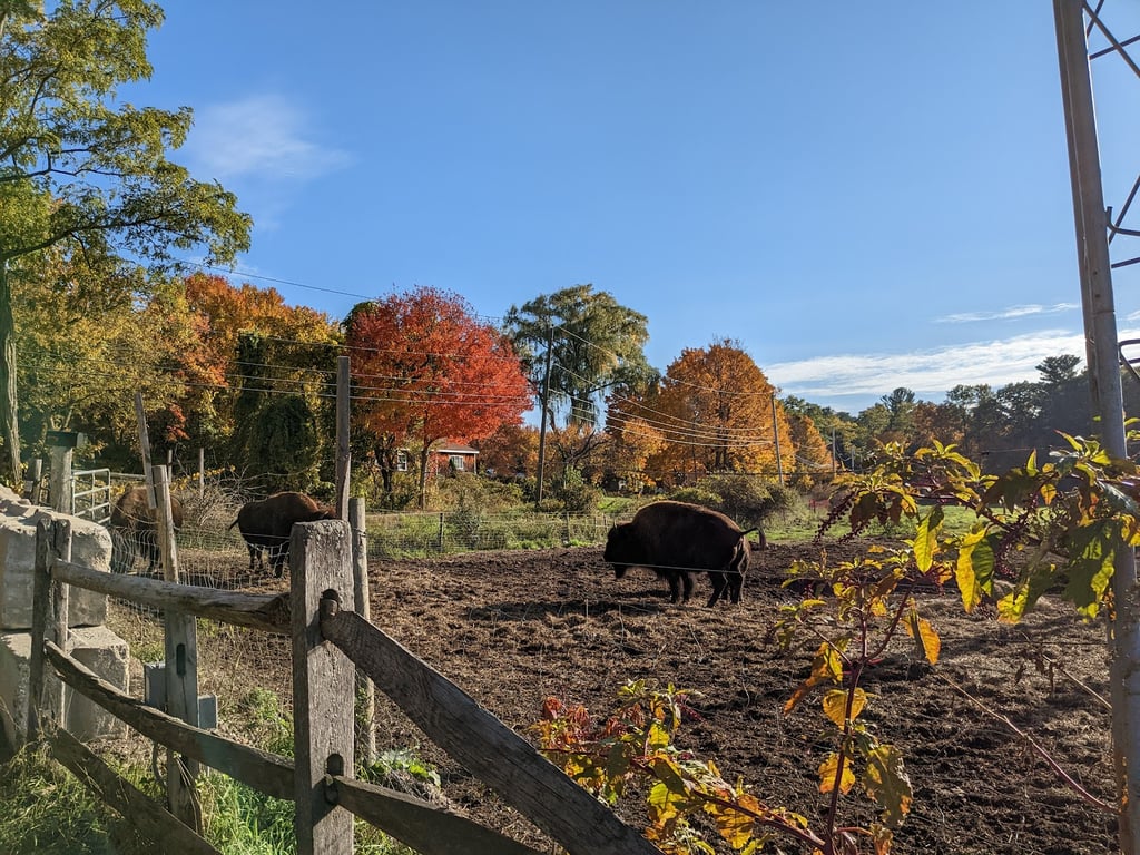 Photo of Kimball Farm