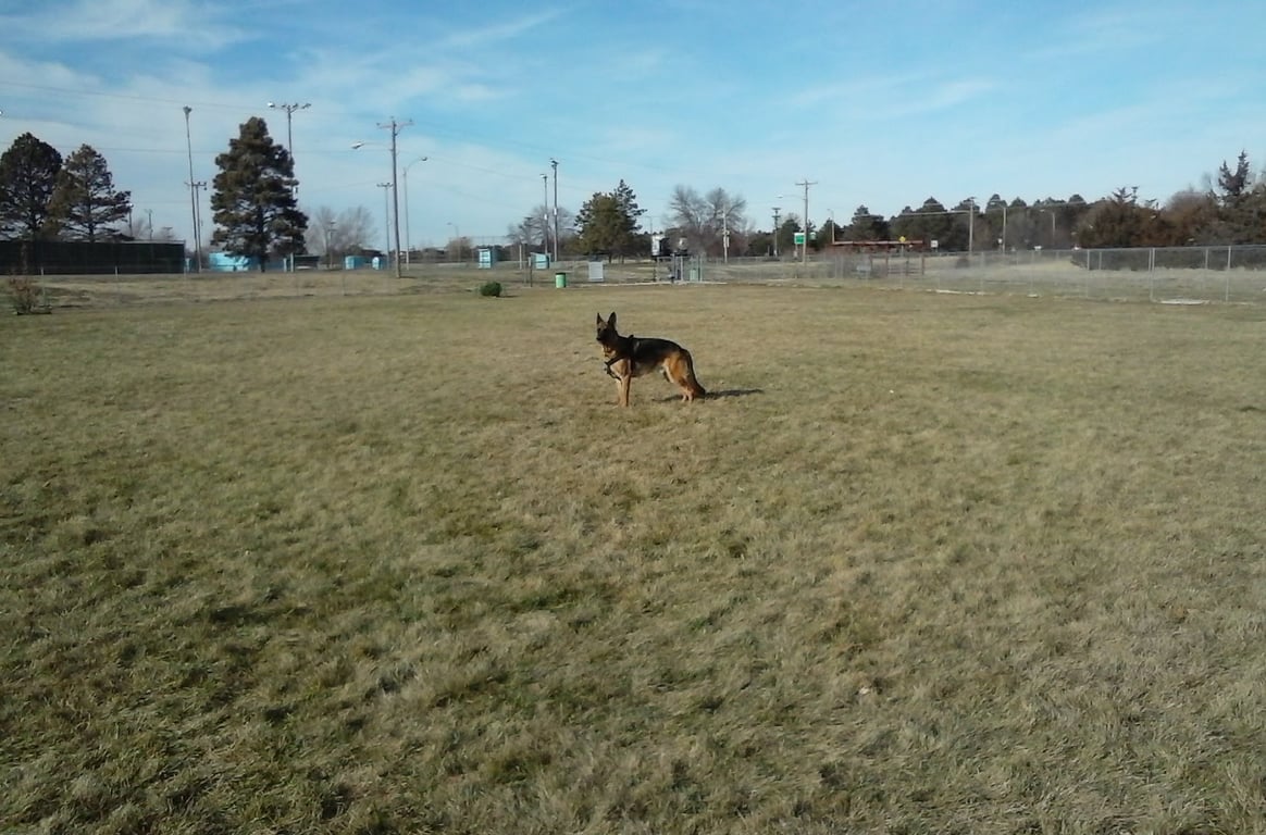 Wiggly Field Dog Park