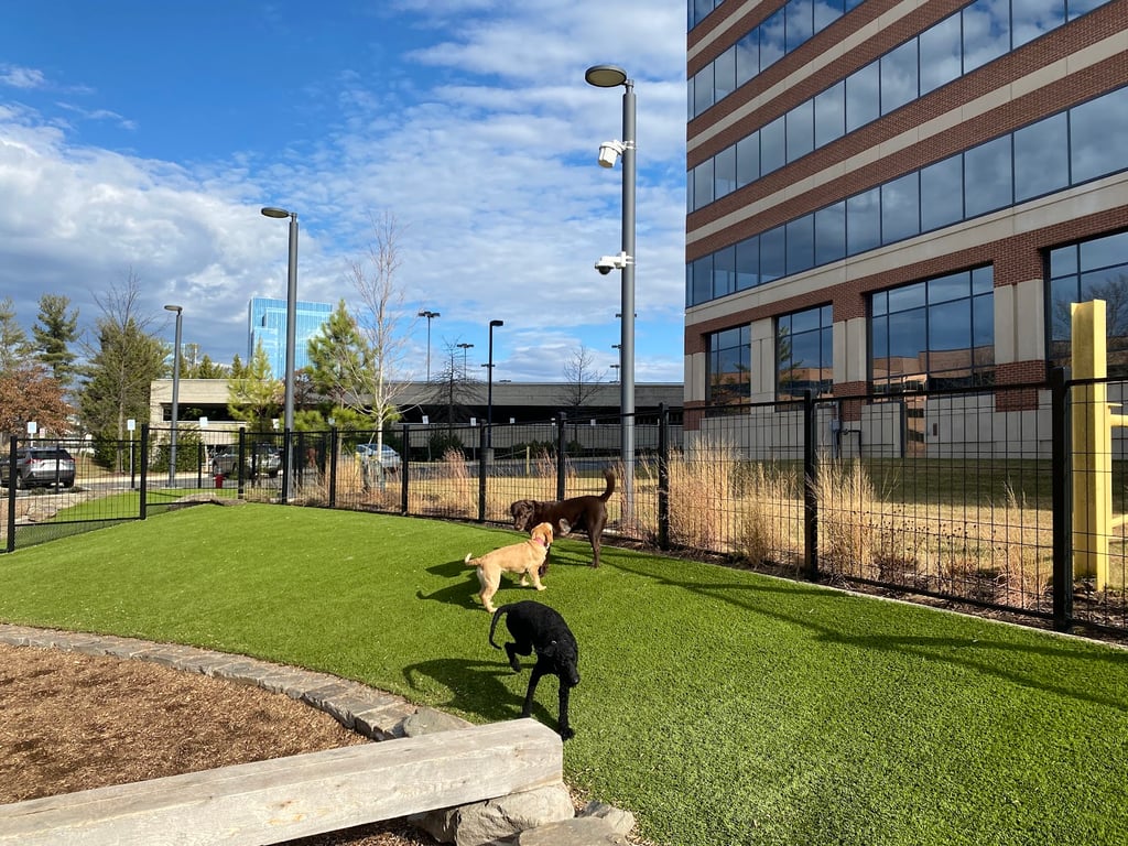 Canis Major Dog Park