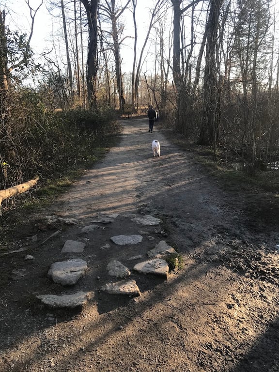 Duke’s Dog Run at Freedom Park