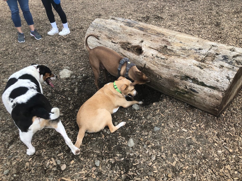 Eddie’s Park at Middlesex Path