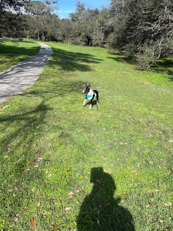 Wisner Tract Park