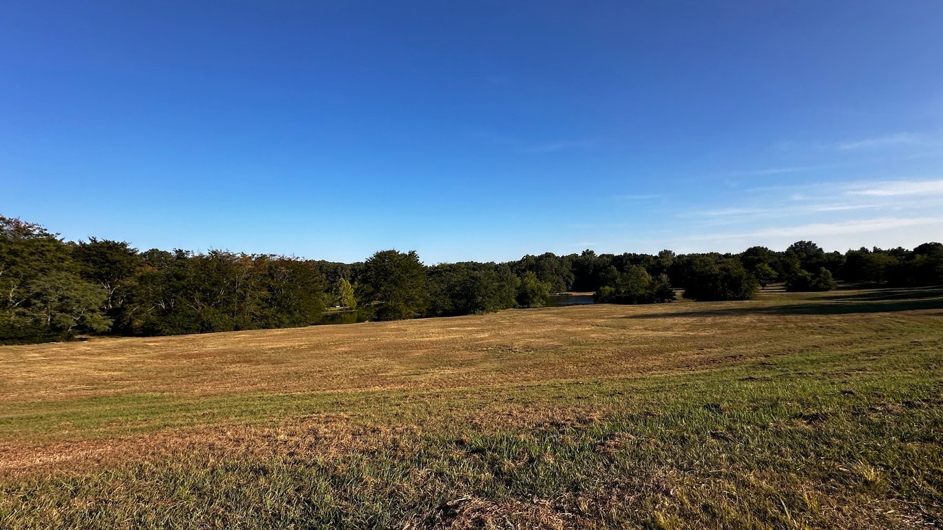 Shelby Farms Dog Park