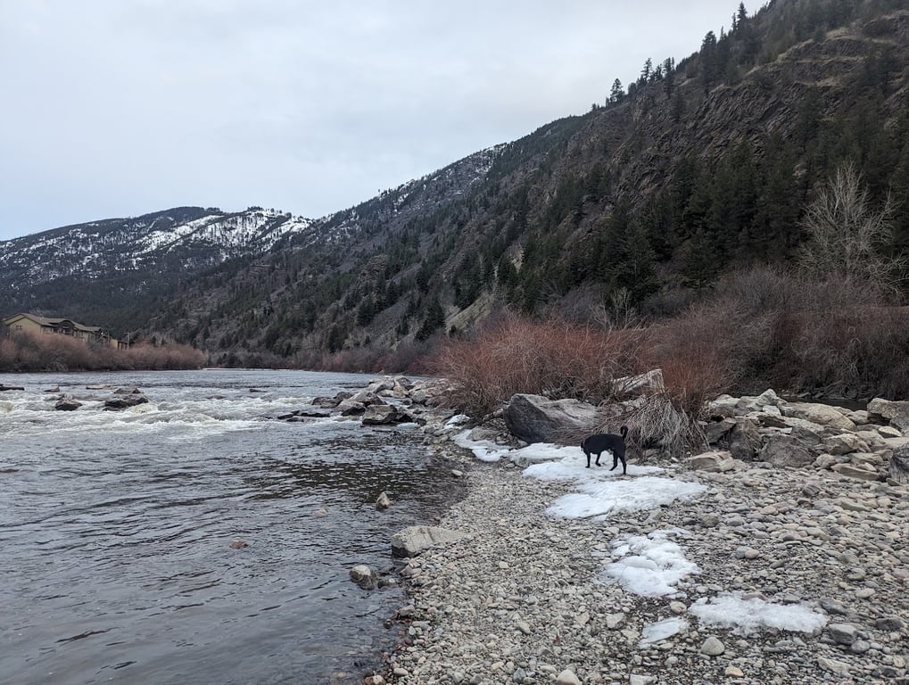 Jacobs Island Offleash Dog Park (Swimming Access)