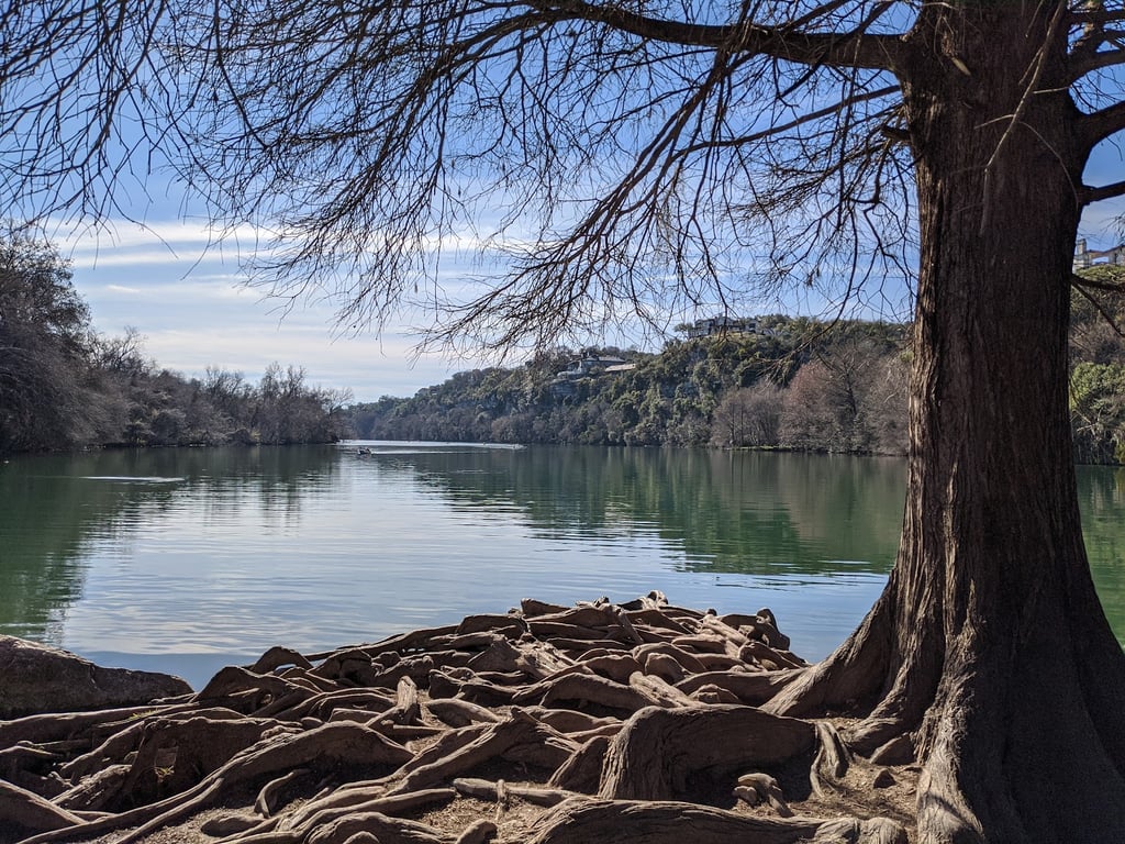 Red Bud Isle