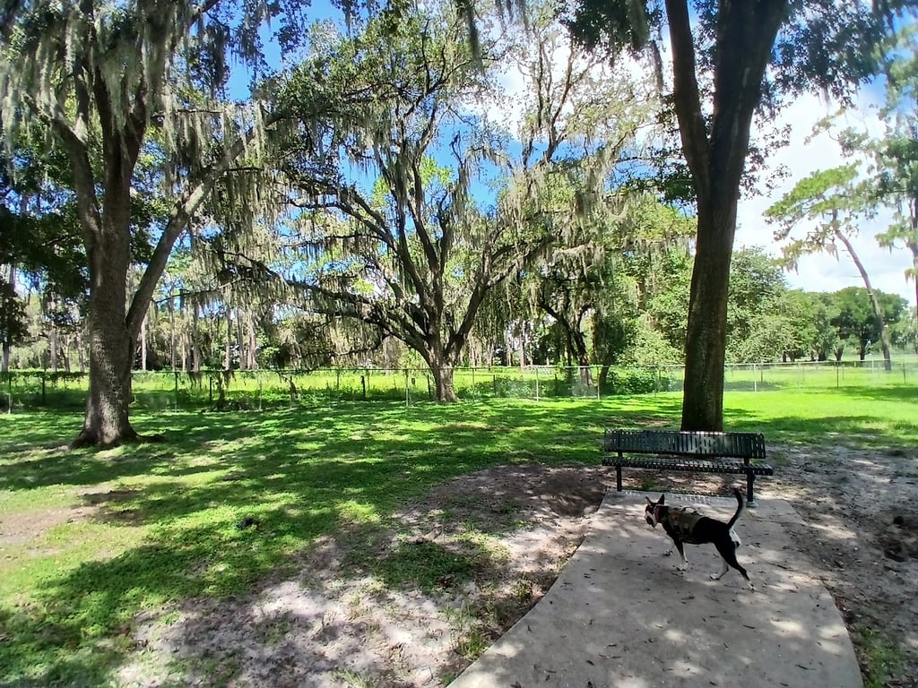 Gunner paw park