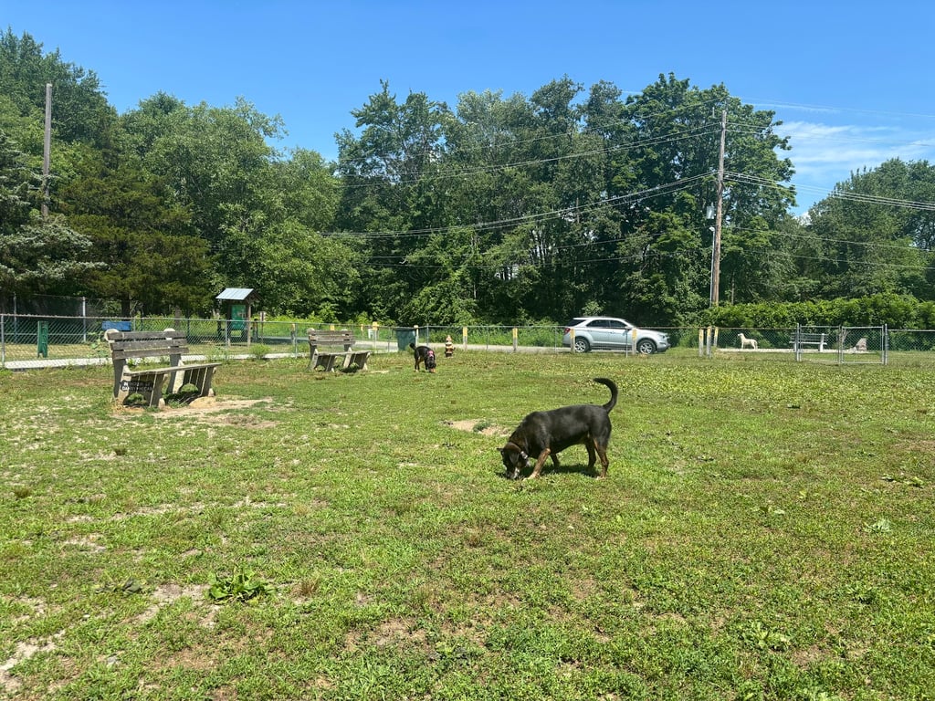 Wall Township Off Leash Dog Park