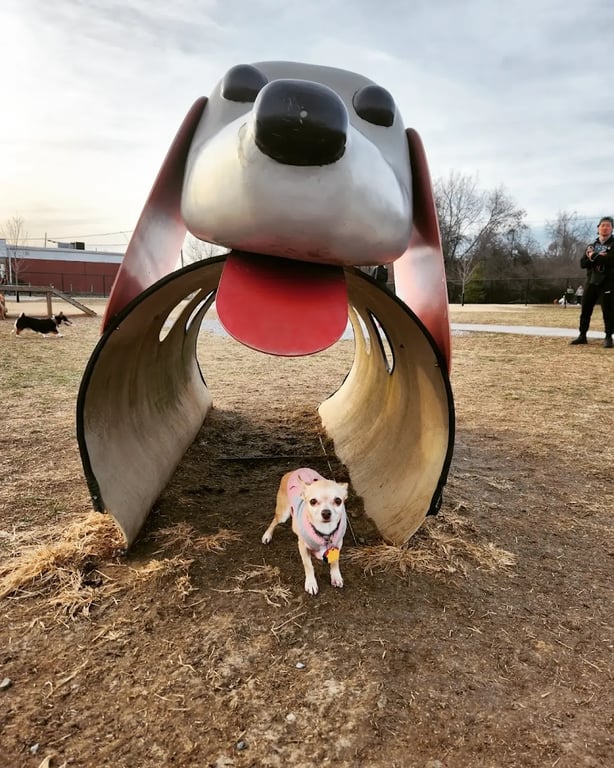 Waggin’ Trail Dog Park