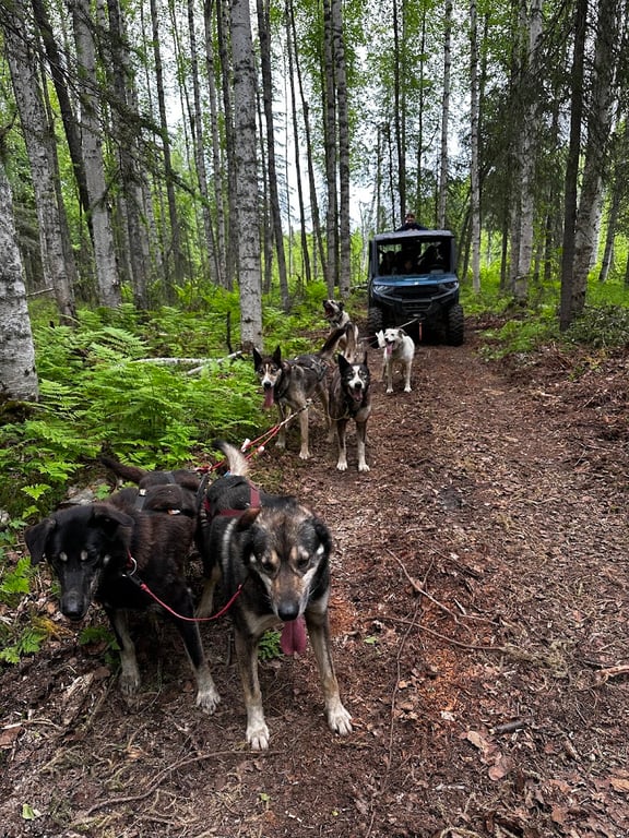 Rock On Racing Sled Dog Tours