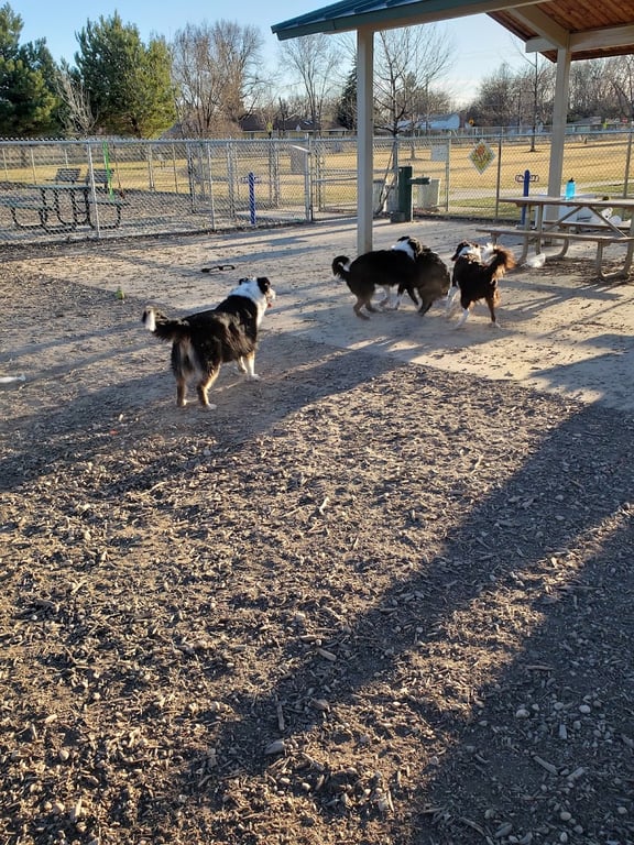 Morris Hill Dog Park