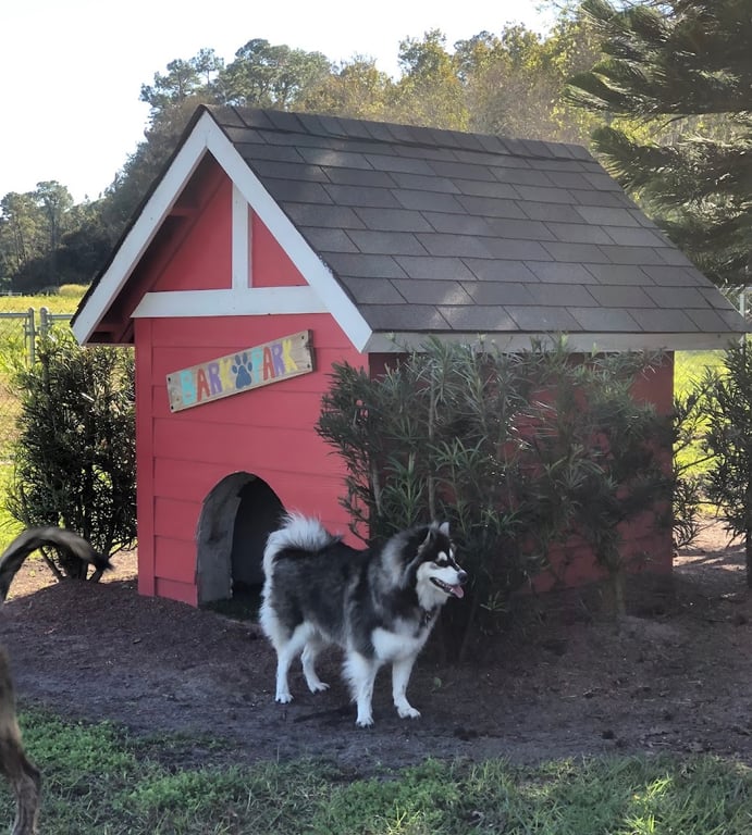Shane Kelly Bark Park
