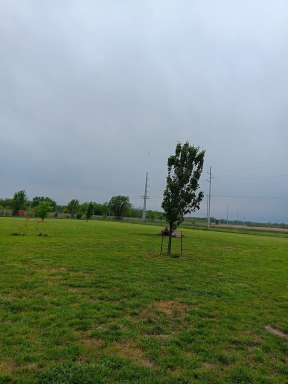 Bailey’s Barking Dog Park