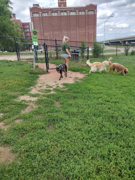 River Market Off-Leash Dog Park
