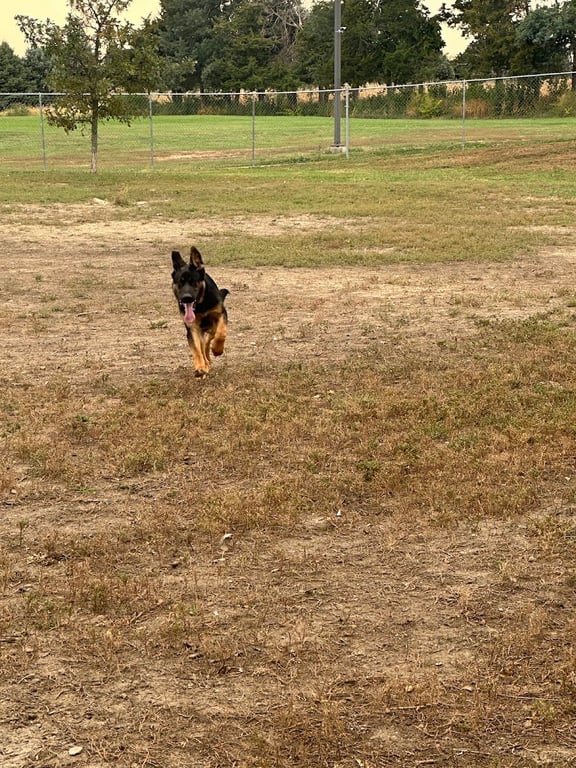Columbus Bark Park