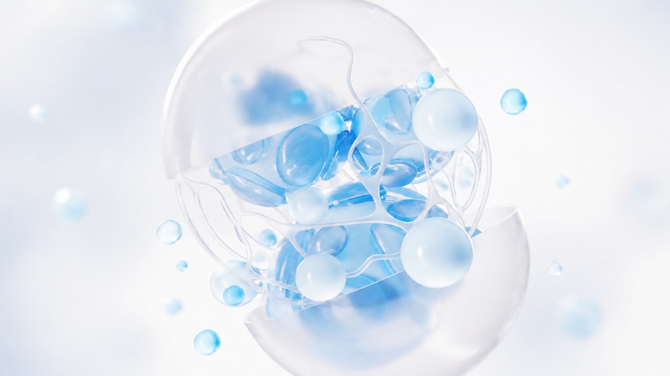 Spermidine and Autophagy Support: Why Cellular Maintenance Matters