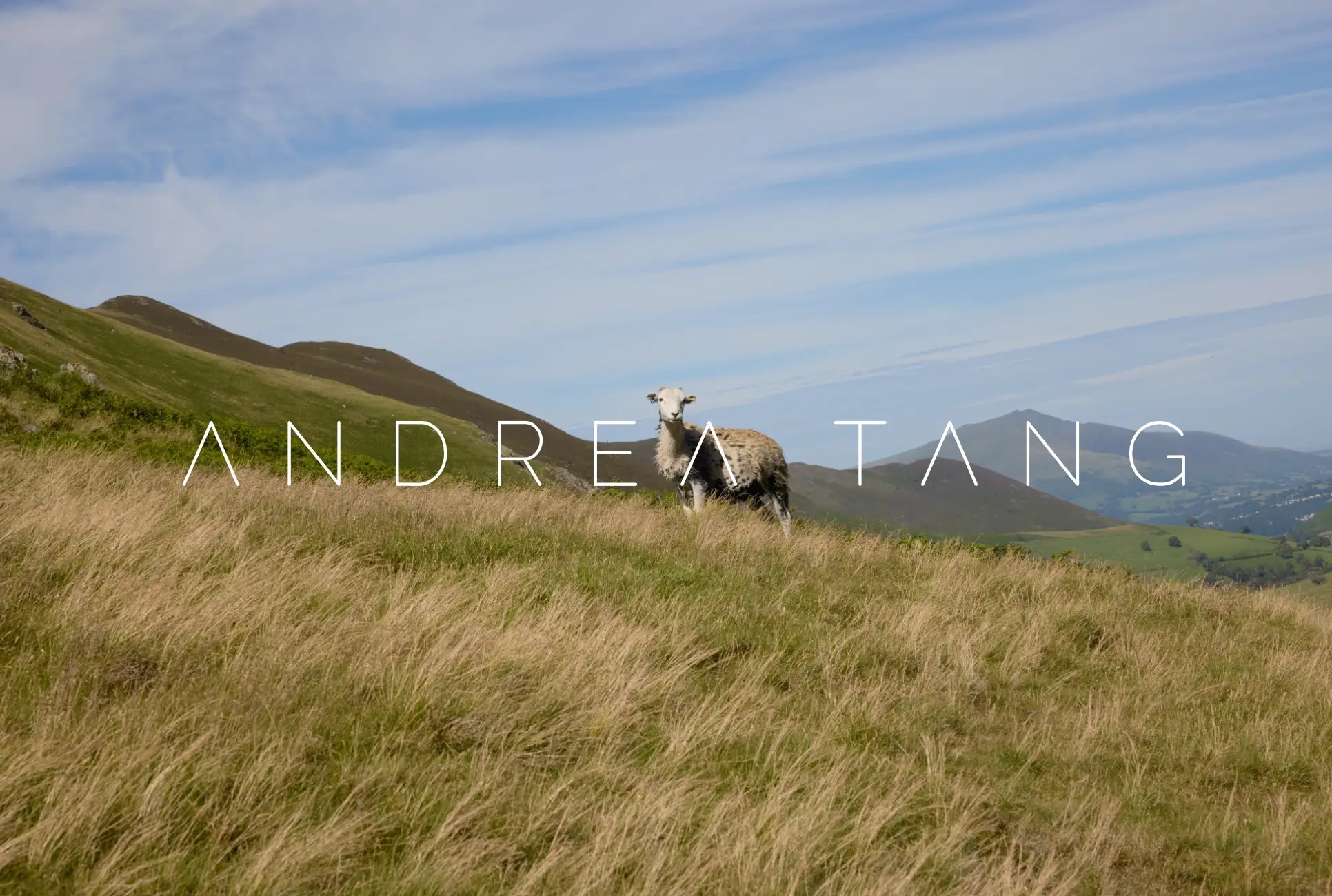 Andrea Tang wordmark over a sheep in a sunlit mountain landscape