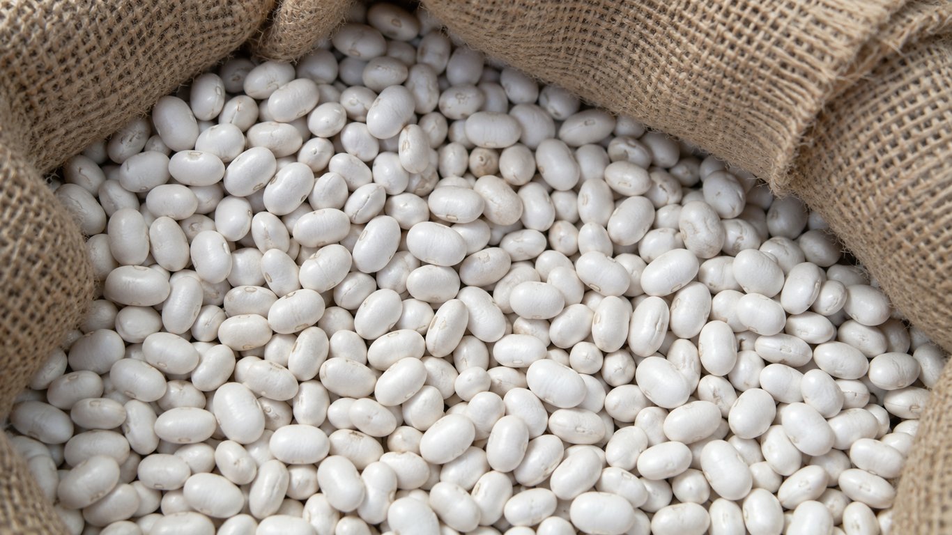 Dried white beans spilling from an open burlap sack.