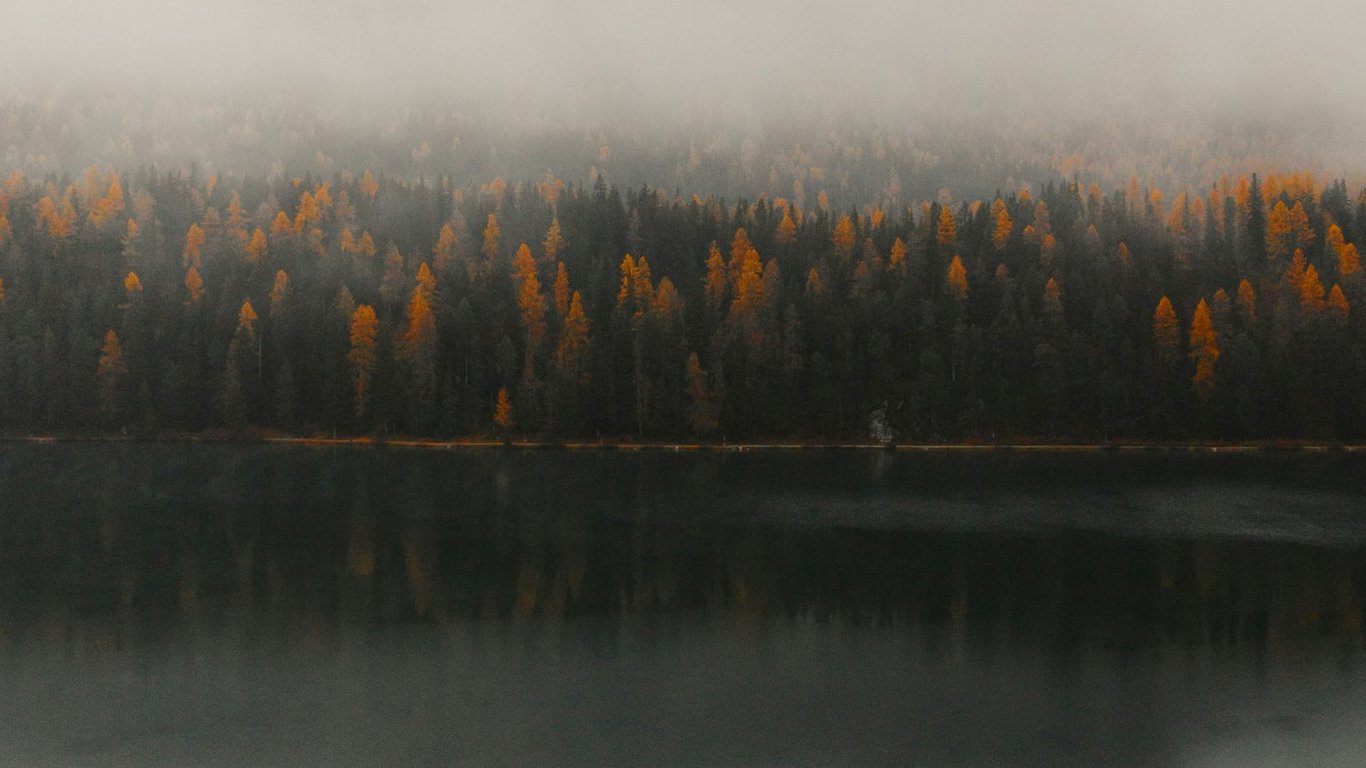 Mist over an autumn forest reflected in a still lake in St. Moritz, Switzerland.
