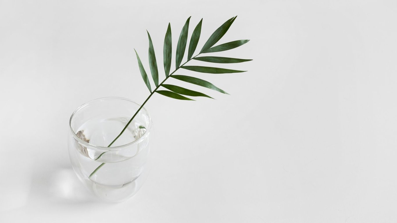 A green leafy stem in a clear glass of water on a white surface.