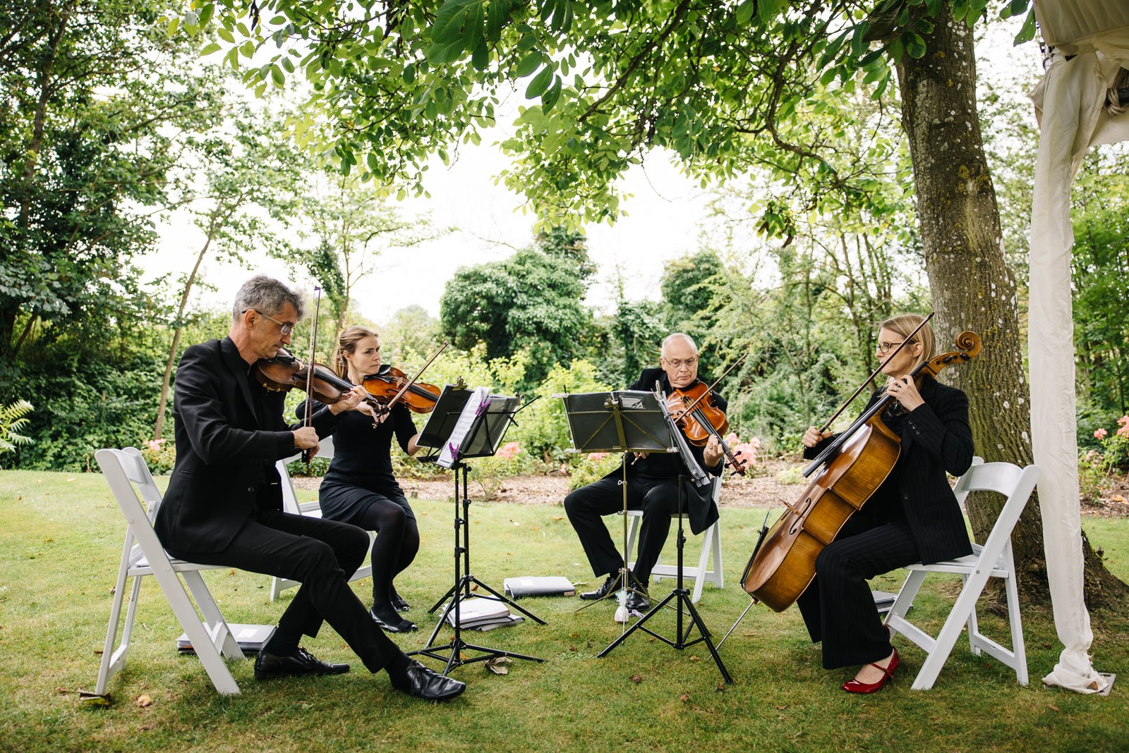 A string quartet in black performing beneath the trees in the grounds of Ardington House