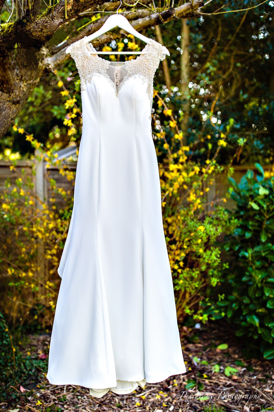 The wedding gown hanging from a tree branch amid spring blossom