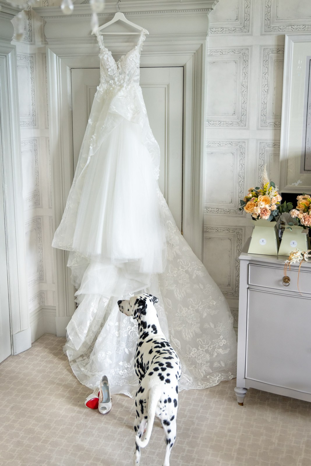 The bride's lace gown hanging in a panelled room as a Dalmatian stands beneath it