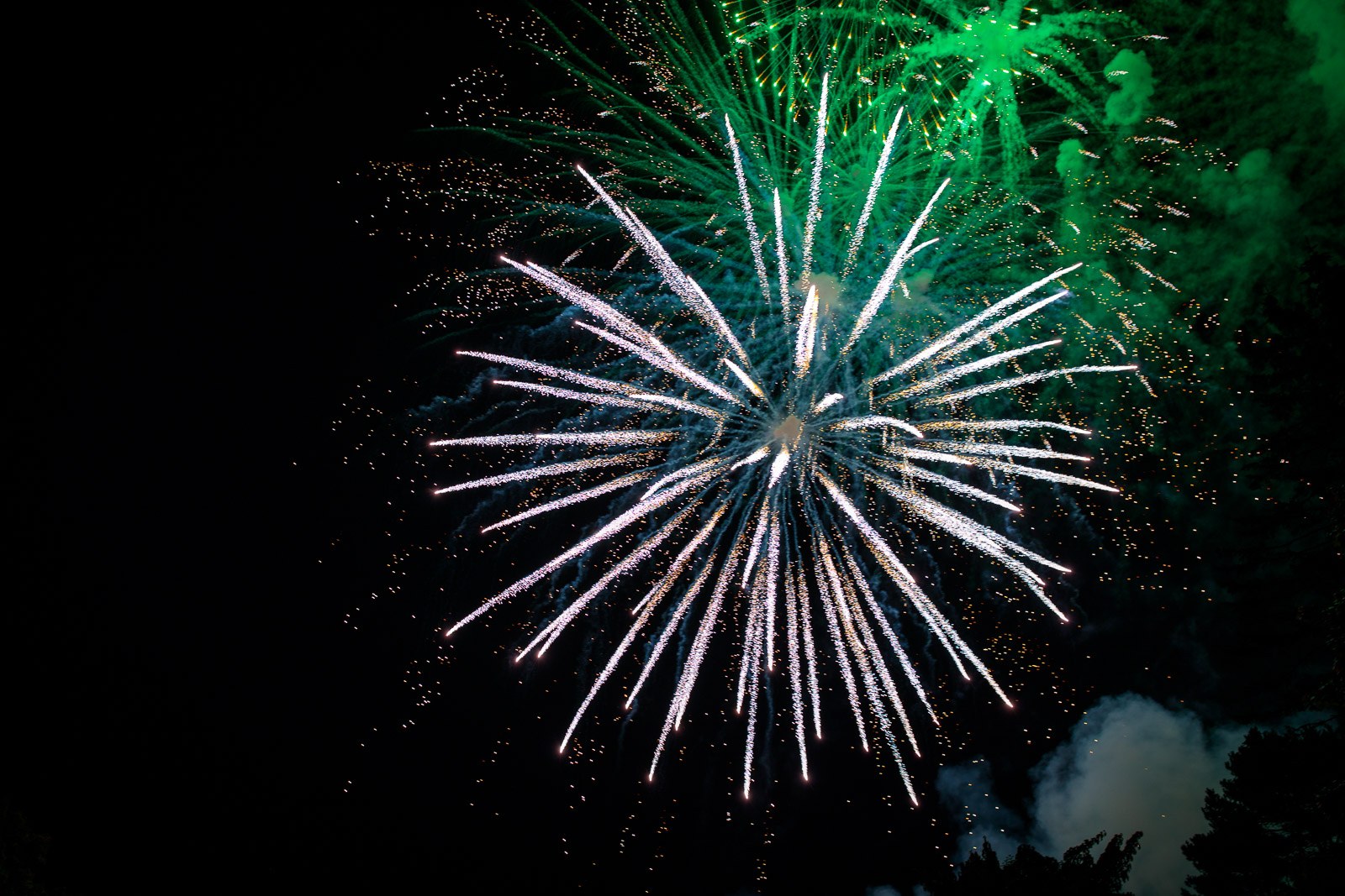 A firework bursts in green and silver over the dark grounds