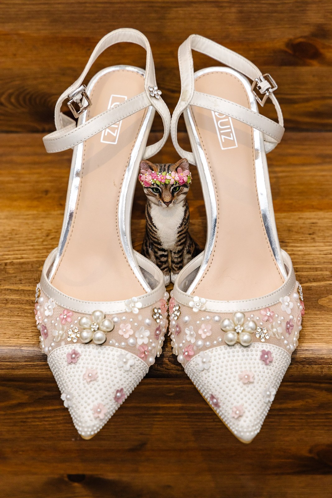 Embellished pearl-and-floral bridal heels on a wooden floor, a curious cat peeking between them