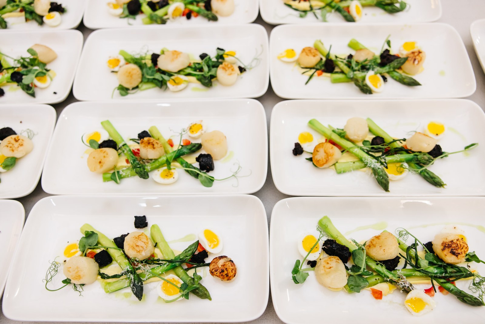 Trays of plated scallop-and-asparagus starters lined up ready to serve