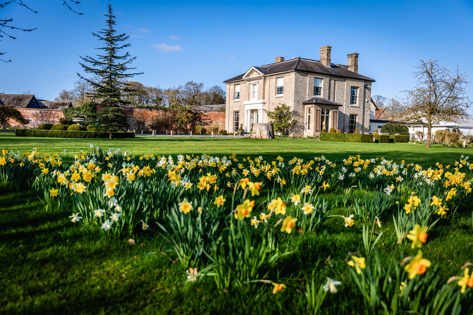 The Georgian country house at Fennes across sweeping lawns and spring daffodils
