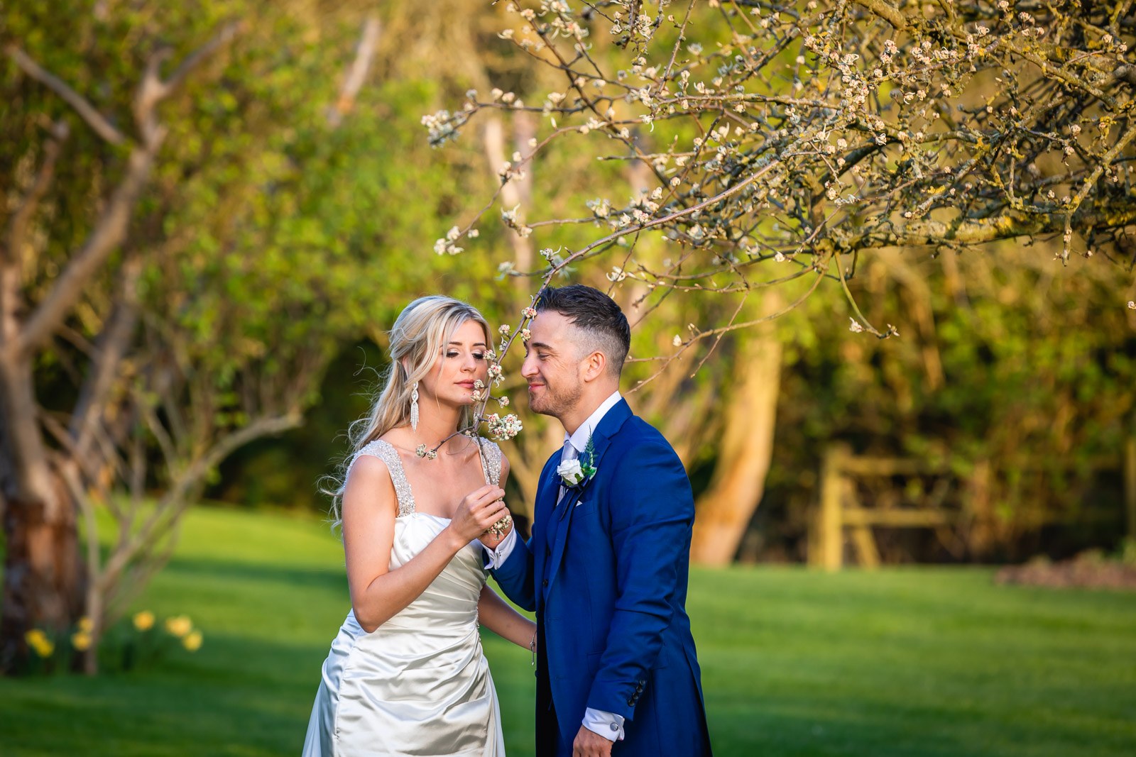 The couple beneath a blossoming tree at Fennes, the bride holding a sprig of blossom