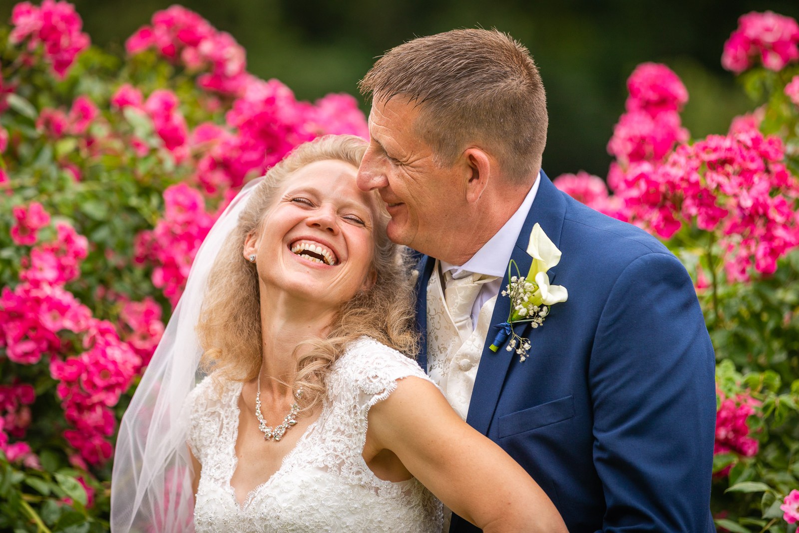 Close-up of the couple laughing cheek to cheek among the pink roses