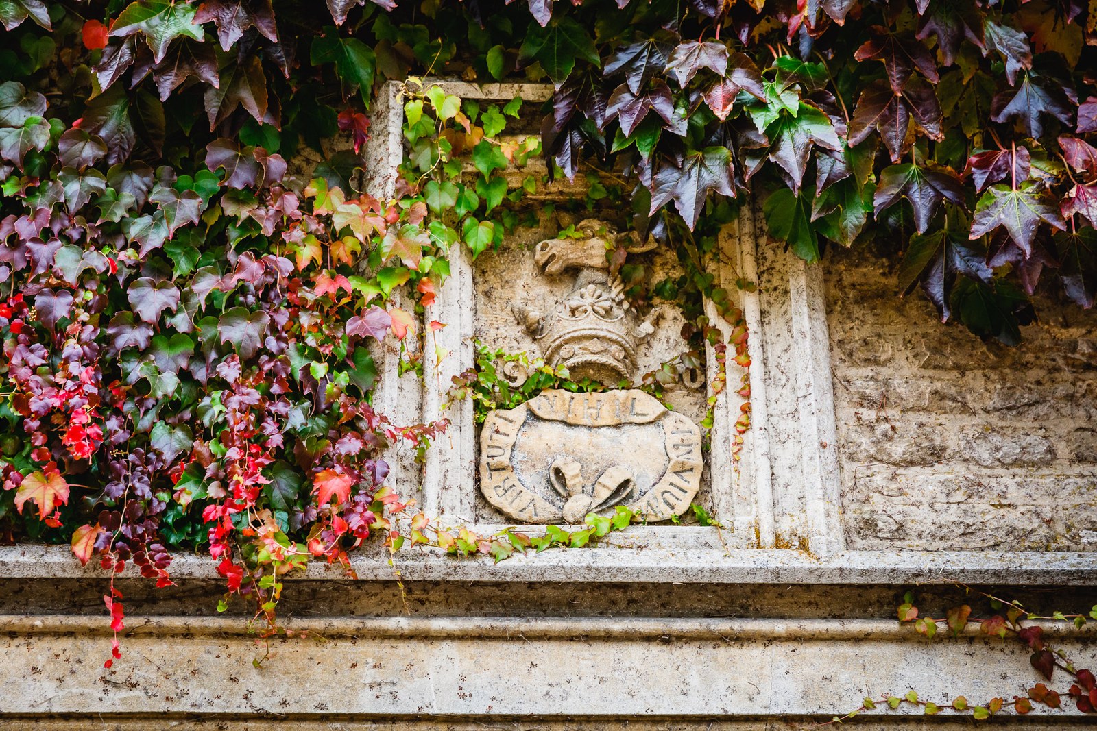 A carved stone crest framed by autumn Virginia creeper on the wall at Hyde House